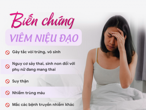 1756958446152045.png viem-vung-kin-nu.png