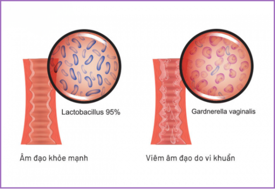 phong-kham-binh-duong (78).png