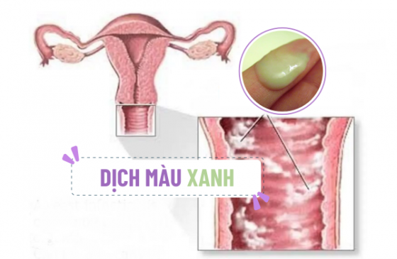 phong-kham-binh-duong (98).png