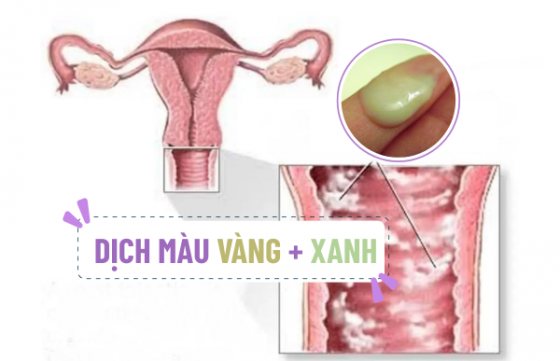 phong-kham-binh-duong (100).png